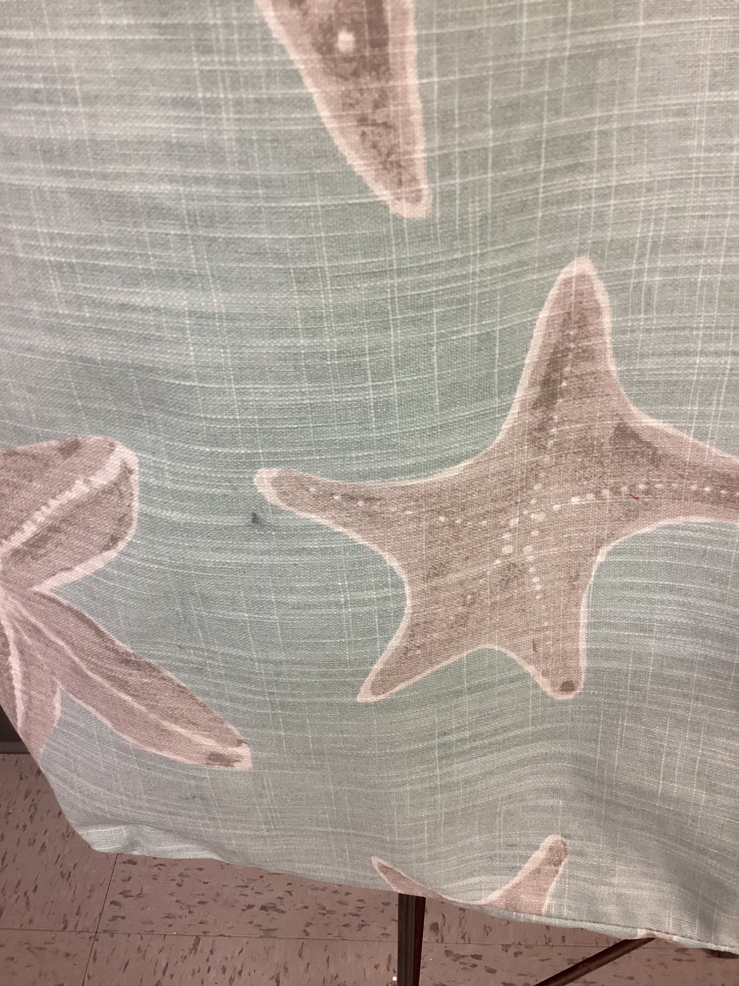 Patricia blue starfish