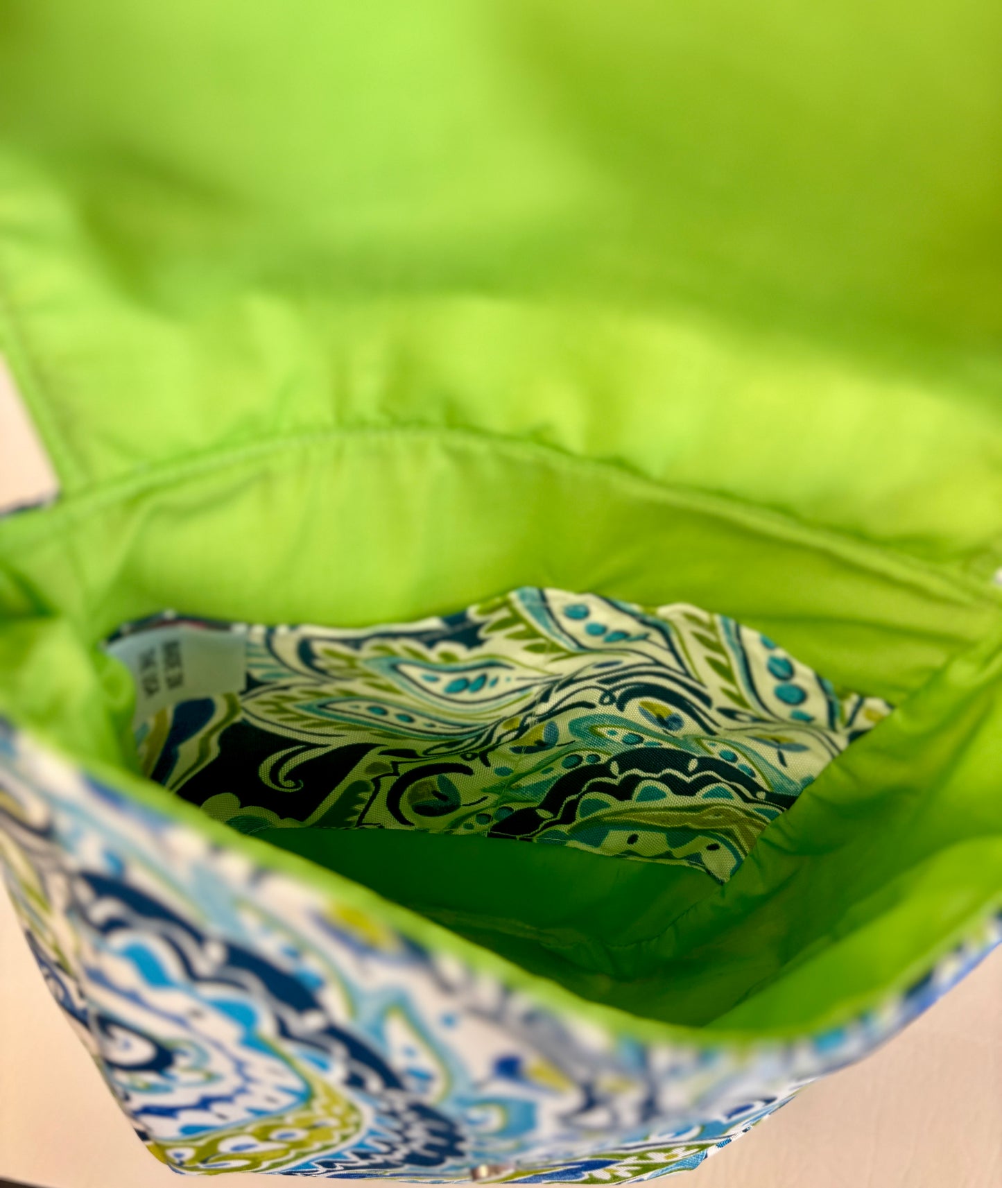 Jacqueline Lime Blue Paisley