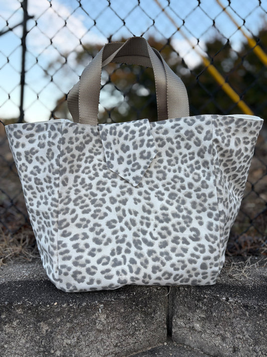 RTS-Deborah Cheetah
