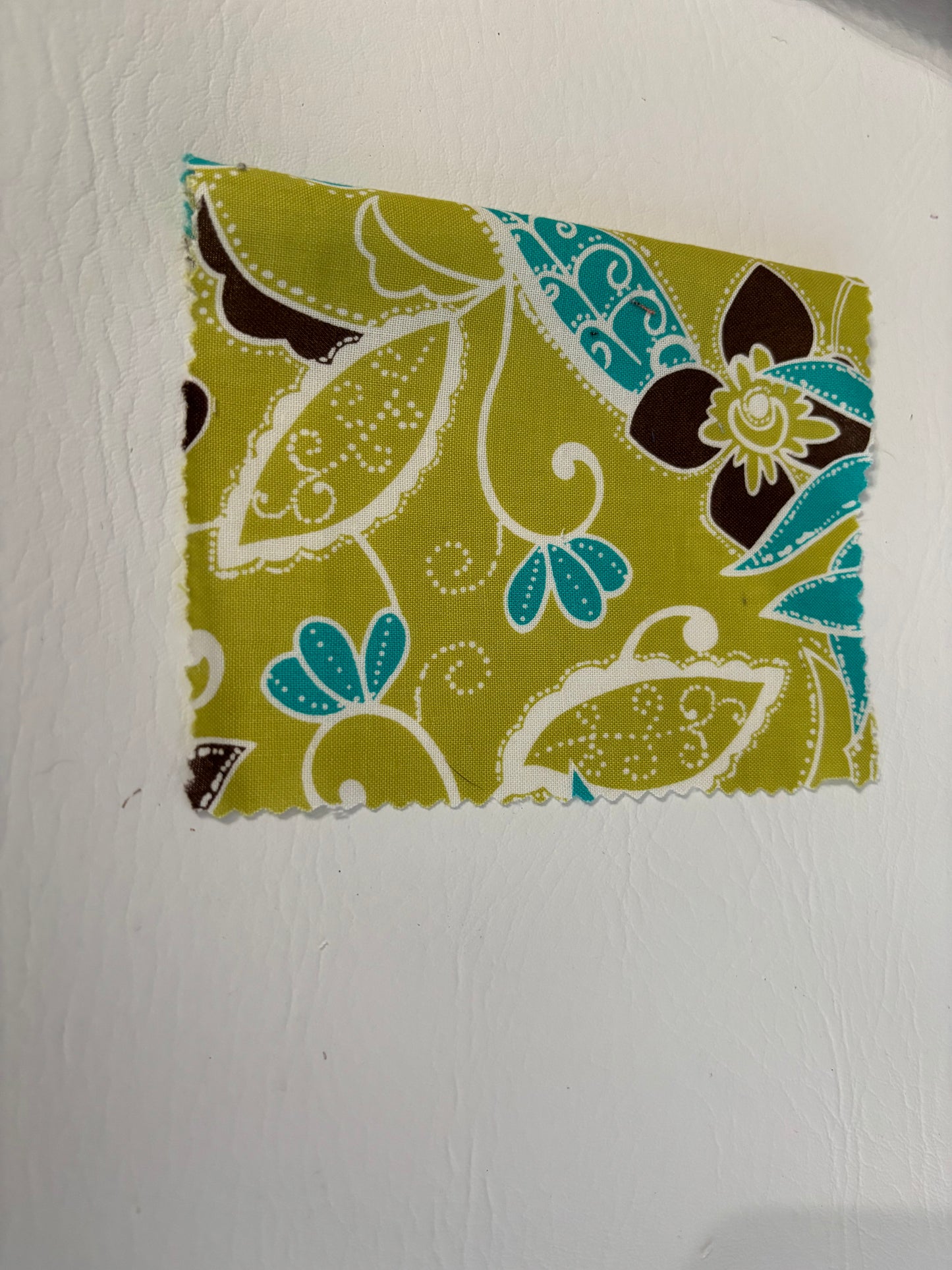 Coin Purse Kiwi