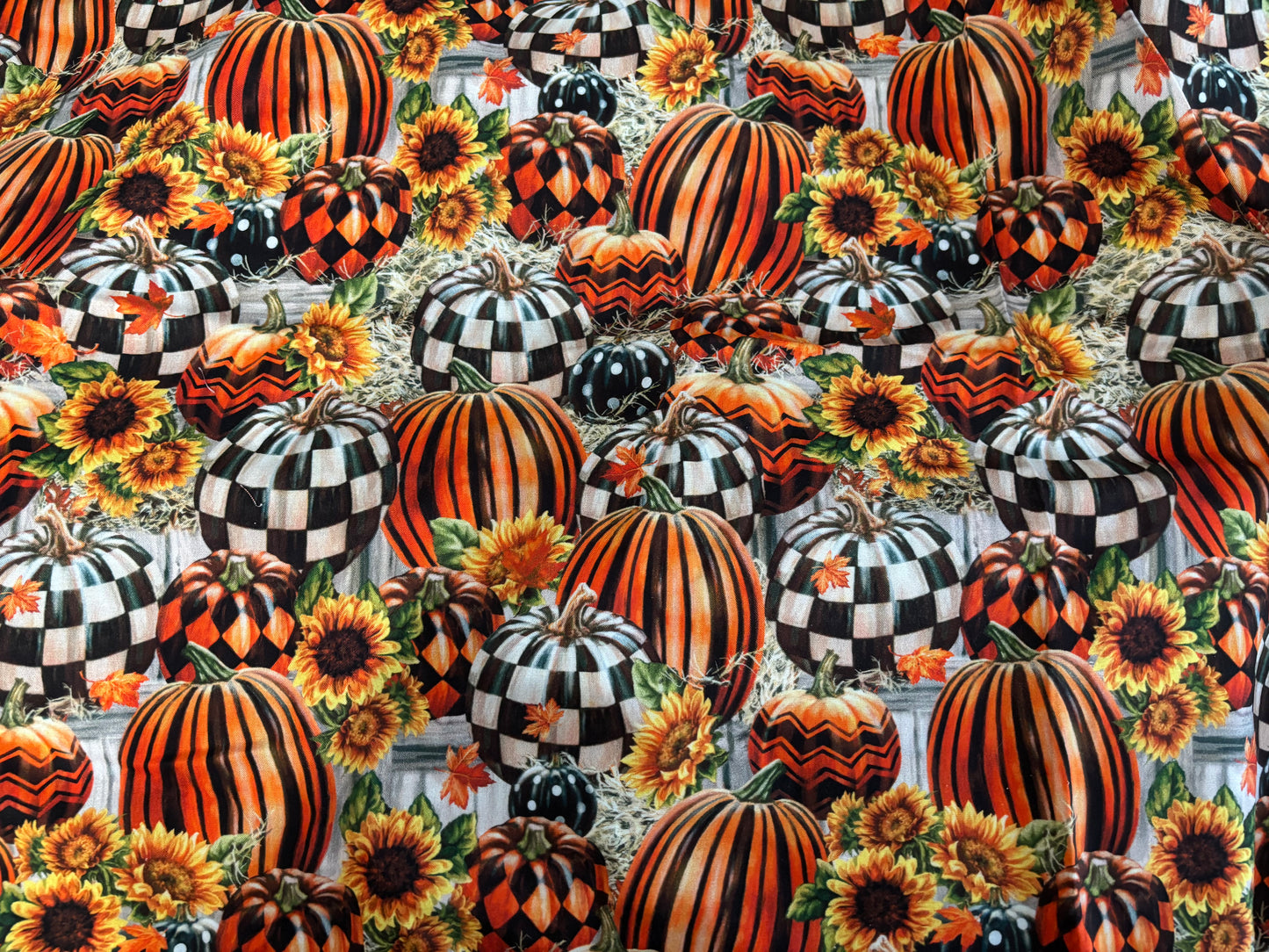 Elizabeth Fall Pumpkin